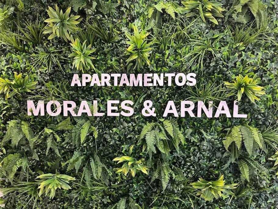 XVIII B Suite Apartamentos Morales & Arnal Ronda Eksteriør billede